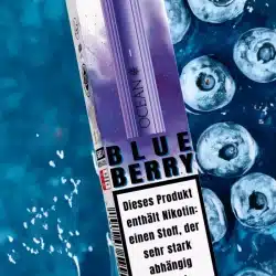 blueberry-mock-up-700x1516.webp